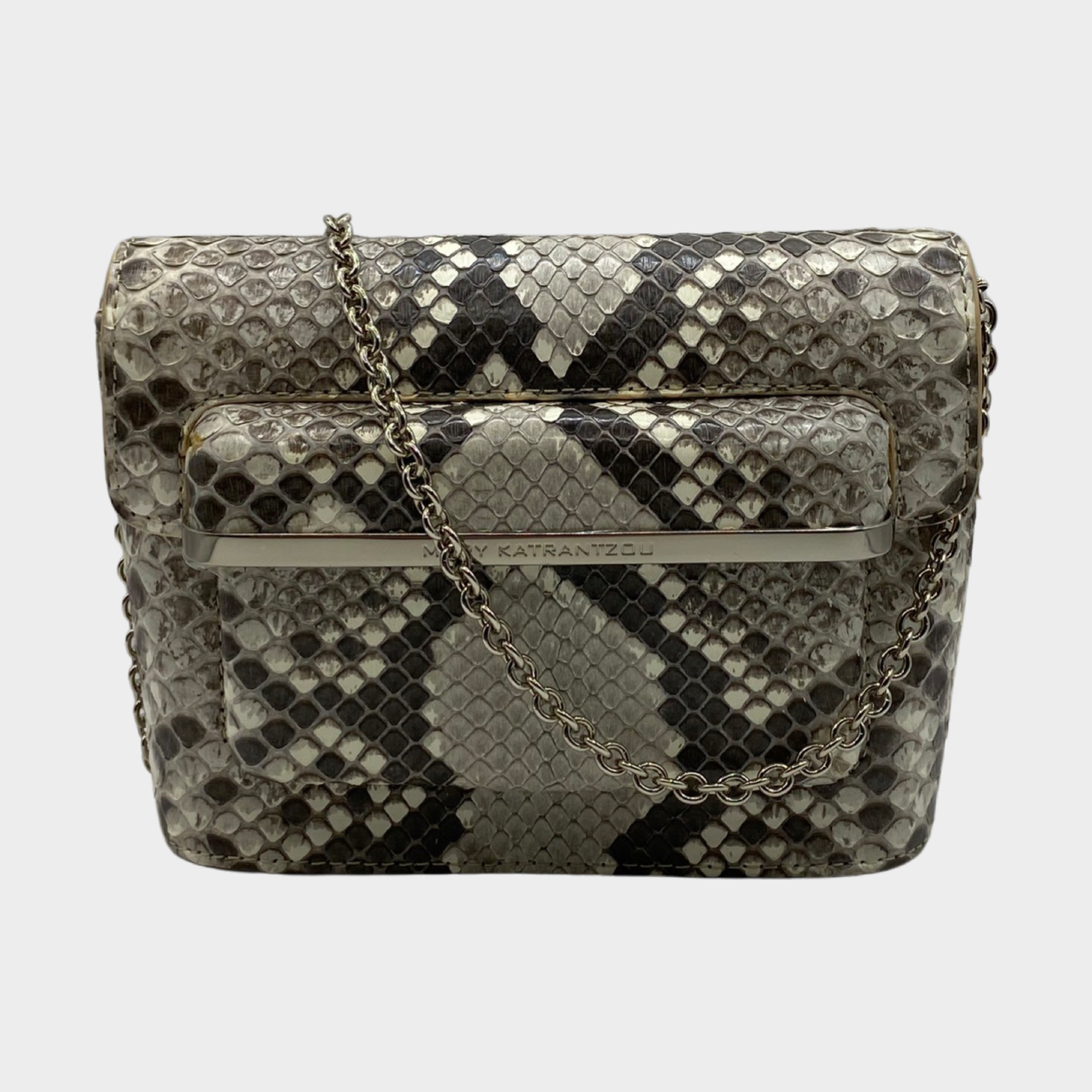 Snakeskin chain store bag