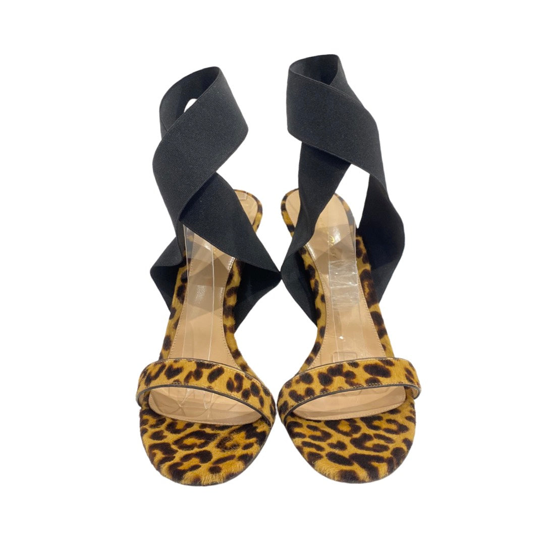 Leopard Print Stilettos High Heel Shoes With Buckle – TulleLux Bridal  Crowns & Accessories